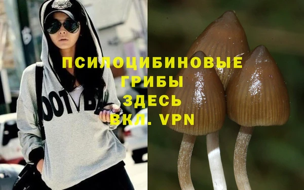 ALPHA PVP Алексин