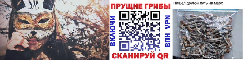 Галлюциногенные грибы GOLDEN TEACHER  Чебаркуль 
